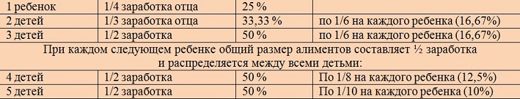образом, в каком размере выплачиваются алименты на одного ребенка мог представить